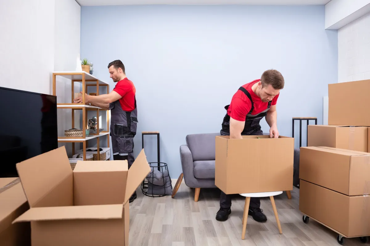 Packers and Movers in Abu Dhabi